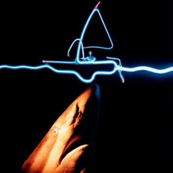 neon-de-la-mer